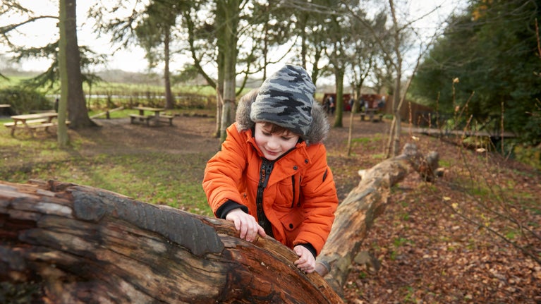 Young boy climbing along a large log in outdoor play area at Ormesby Hall
